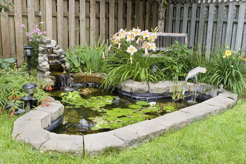 Keeping Your Pond Healthy in Summer